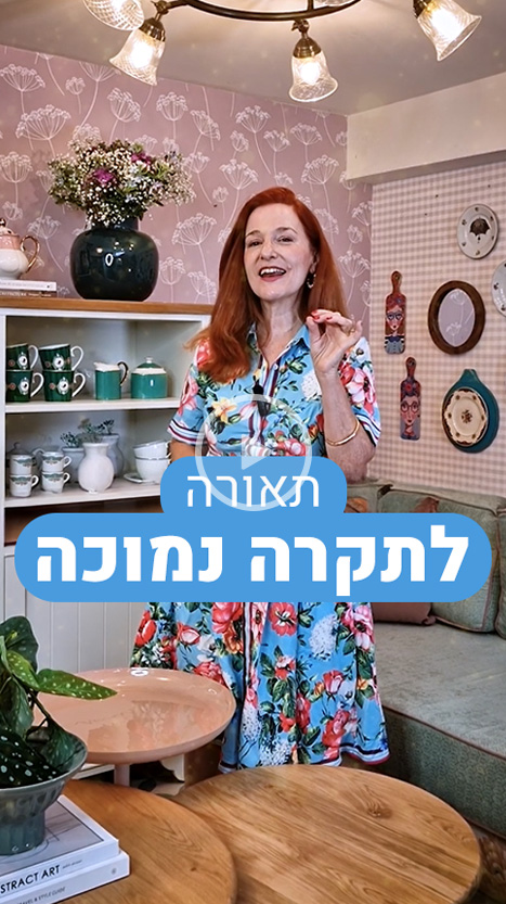 תאורה לתקרה נמוכה